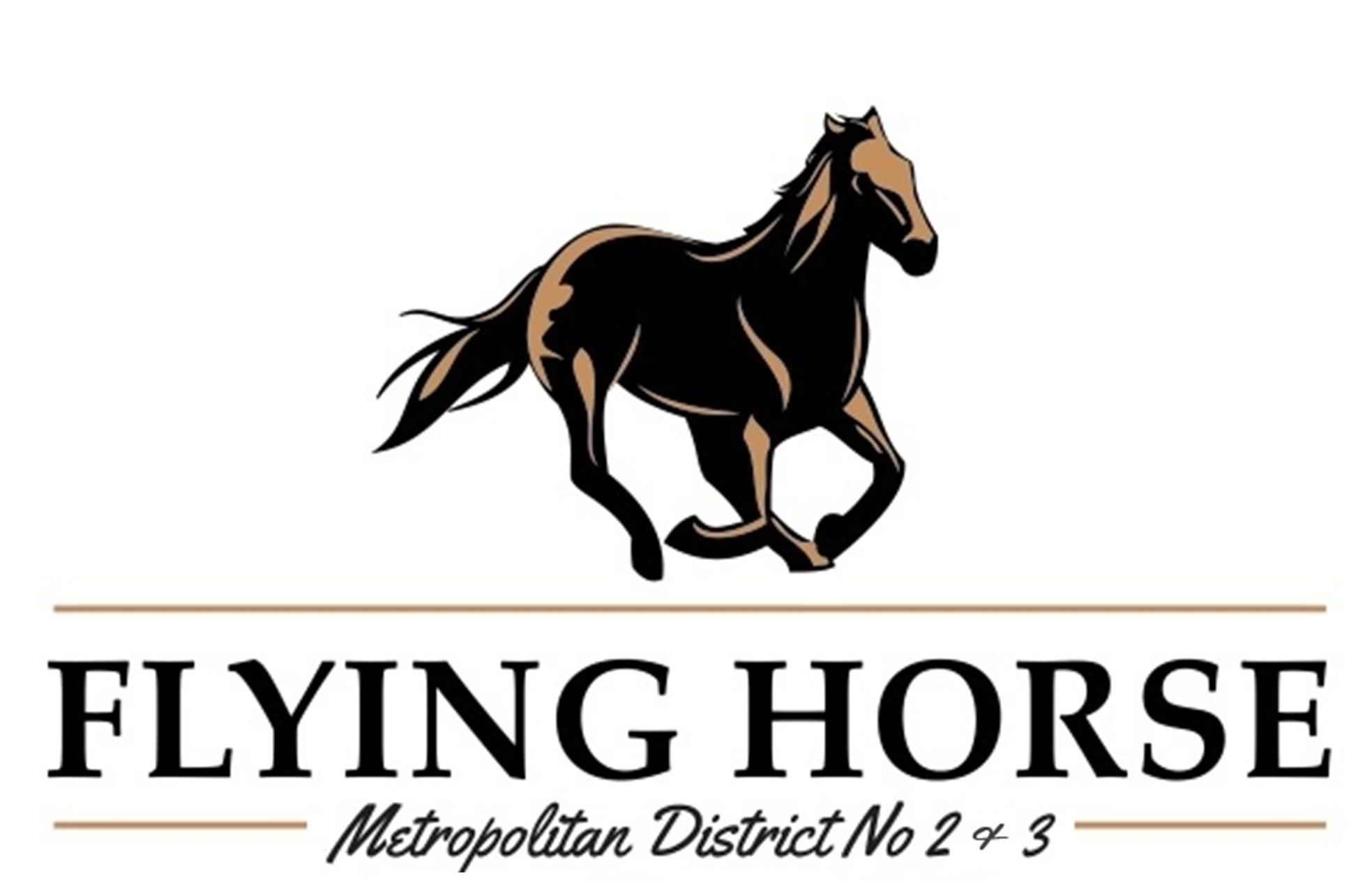 Flying Horse Metro Districts 2 and 3