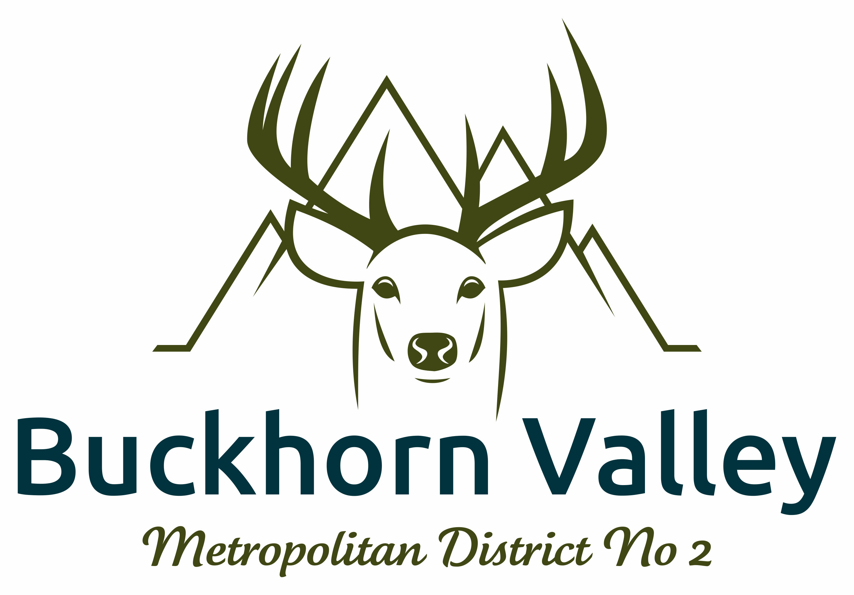 Buckhorn Valley Metropolitan District No 2